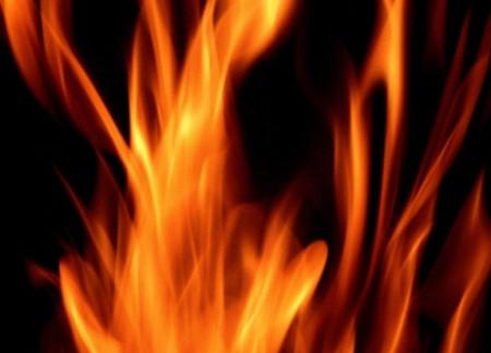 Pourquoi vivons-nous?